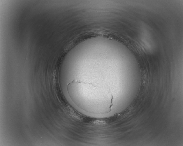 X0000083610279200702120731