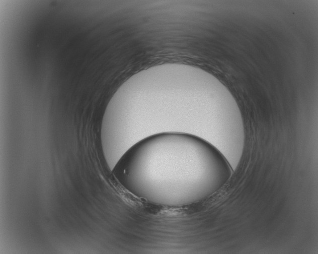 X0000083610280200702120731