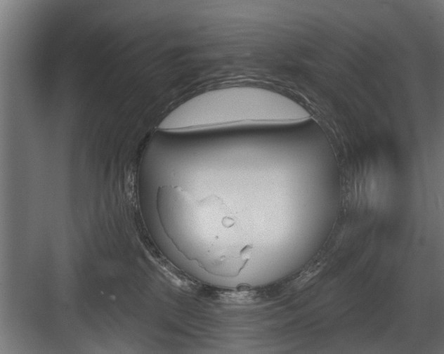 X0000083610281200702120731