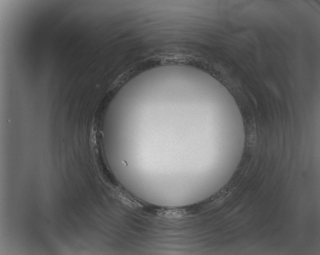 X0000083610282200702120731