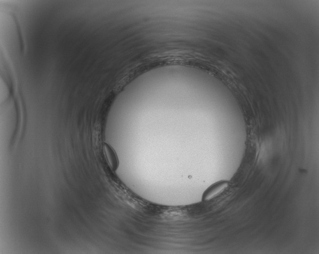 X0000083610283200702120731