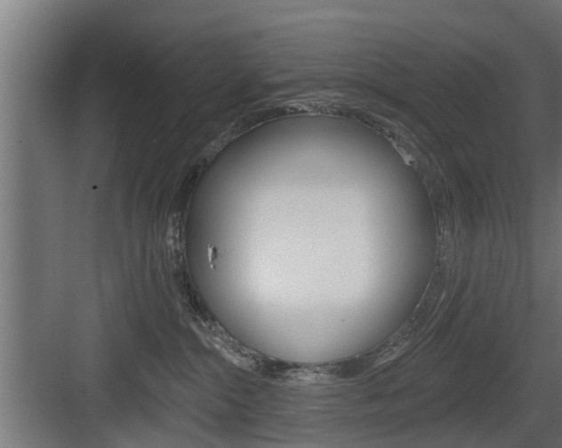 X0000083610284200702120731