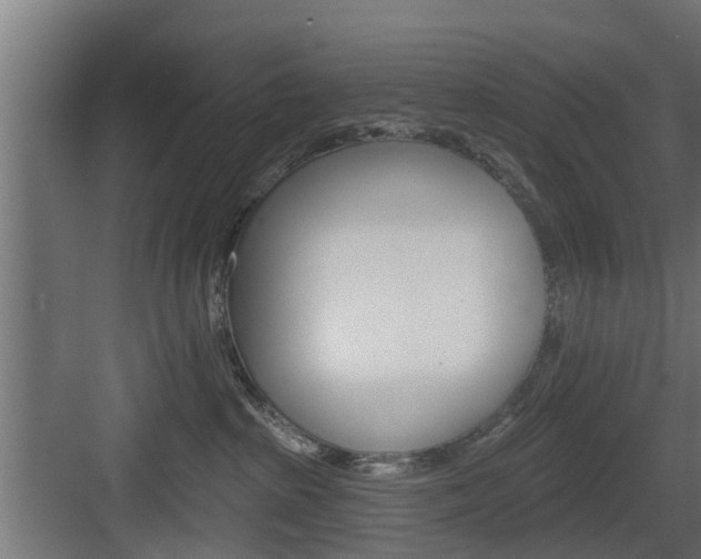 X0000083610285200702120731