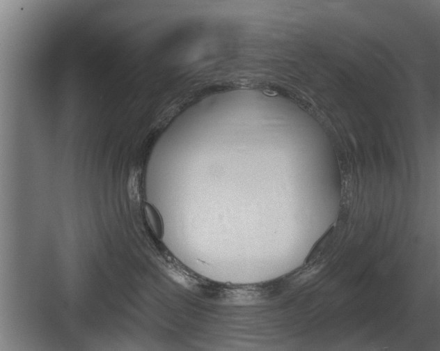 X0000083610286200702120731