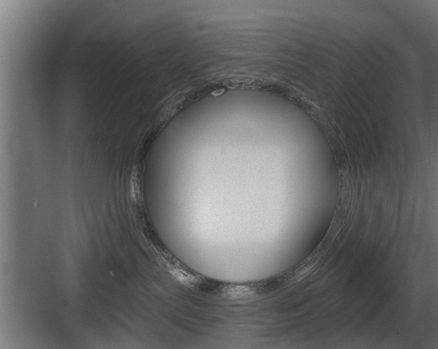 X0000083610287200702120731