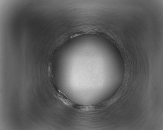 X0000083610288200702120731