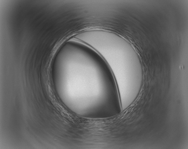 X0000083610289200702120731