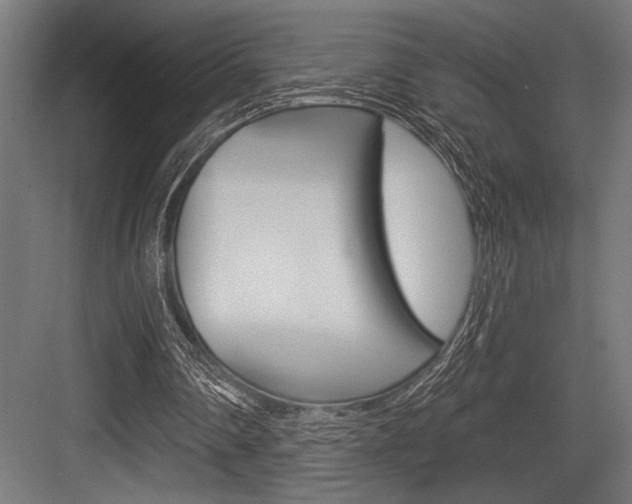 X0000083610290200702120731