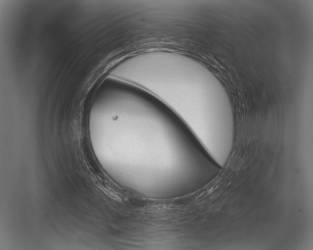 X0000083610291200702120731