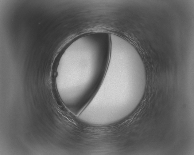 X0000083610292200702120731