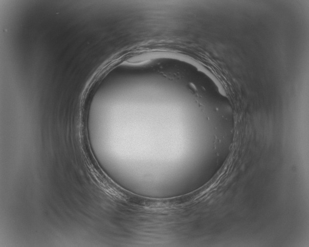 X0000083610293200702120731