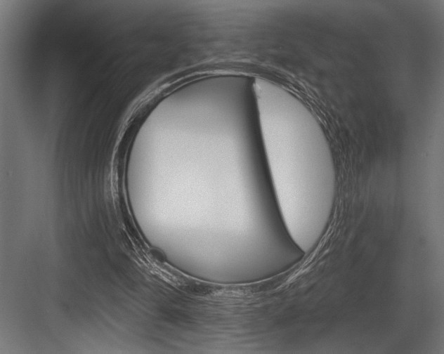 X0000083610294200702120731