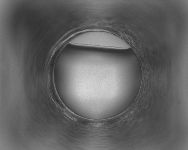 X0000083610295200702120731