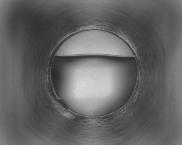 X0000083610297200702120731