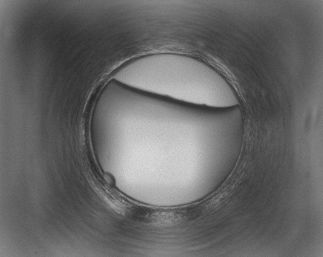 X0000083610298200702120731