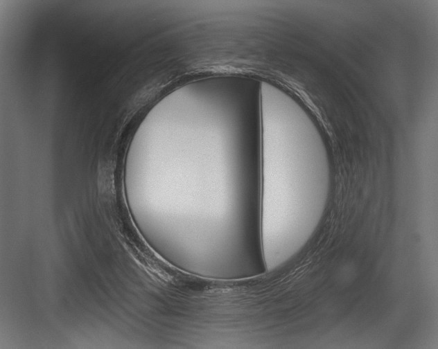 X0000083610299200702120730