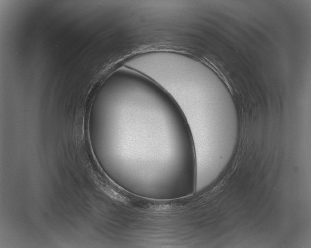 X0000083610301200702120730