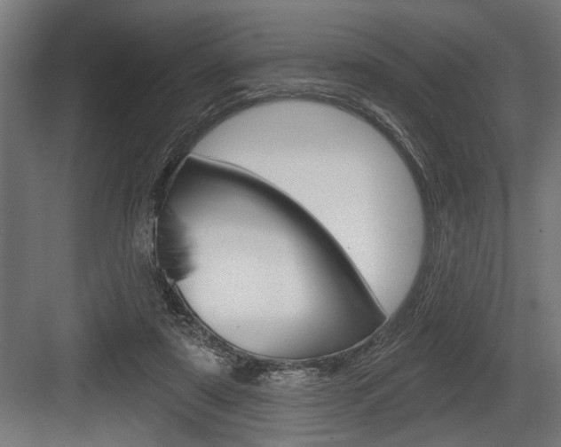 X0000083610307200702120730