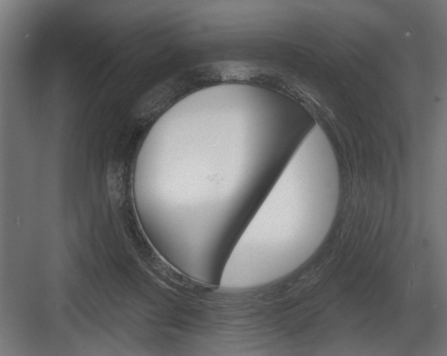 X0000083610311200702120730