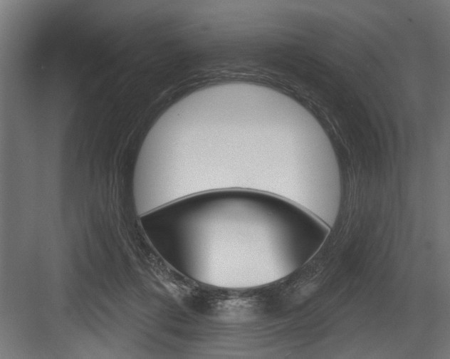 X0000083610312200702120730