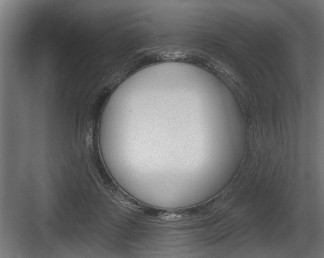 X0000083610315200702120730