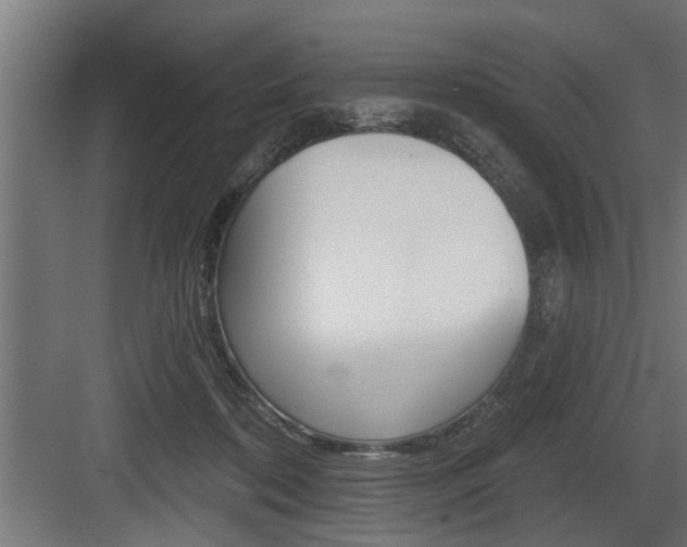 X0000083610316200702120730