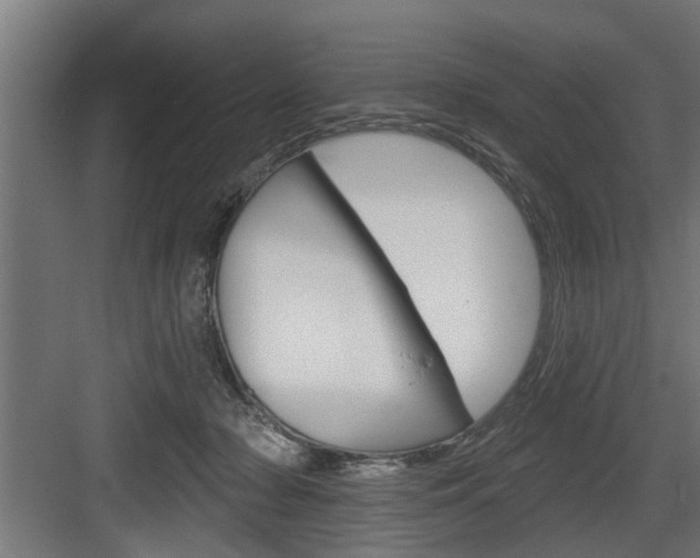 X0000083610318200702120730