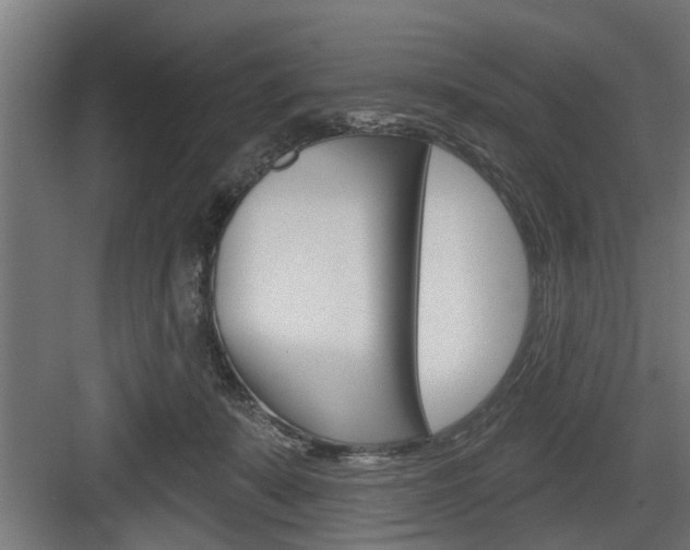 X0000083610319200702120730