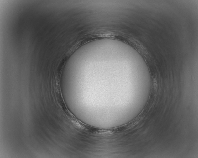 X0000083610322200702120730