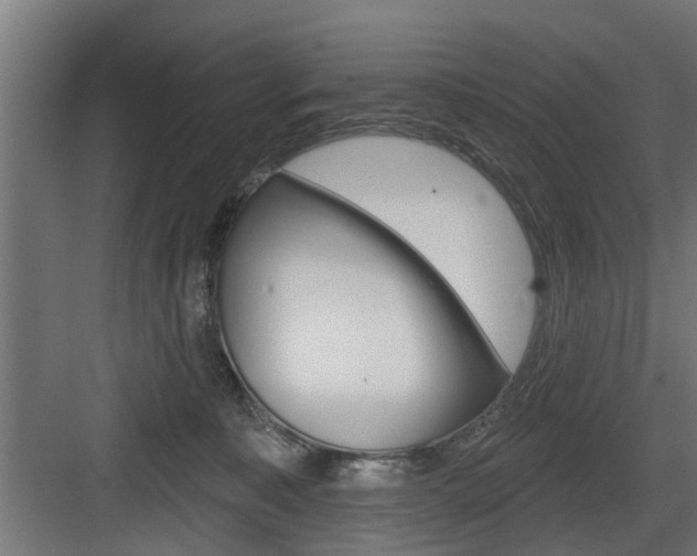 X0000083610323200702120730