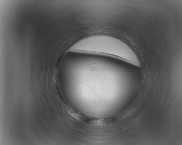 X0000083610325200702120730