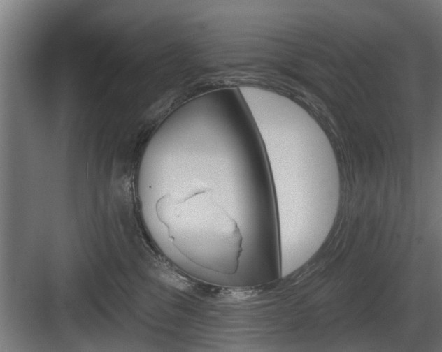 X0000083610329200702120730