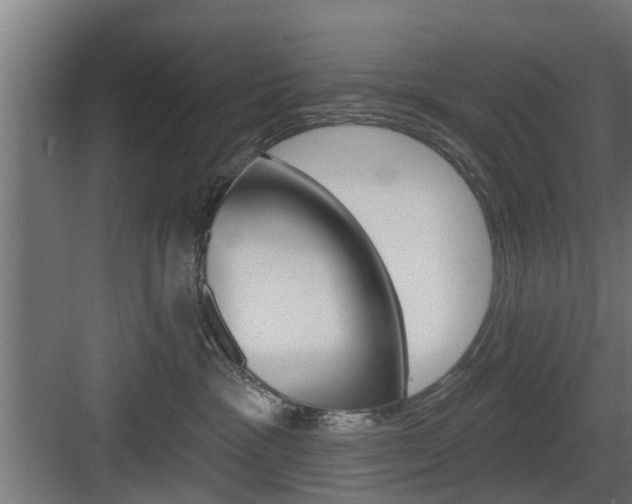 X0000083610333200702120730