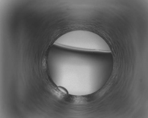 X0000083610336200702120730