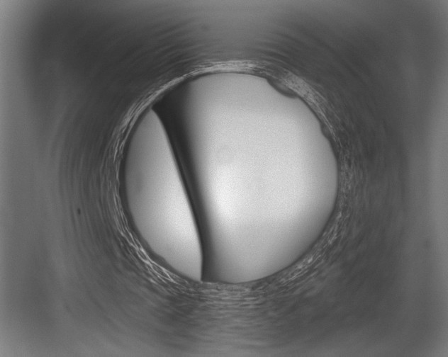 X0000083610337200702120729