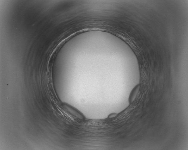 X0000083610338200702120729