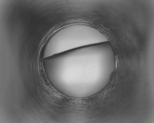 X0000083610339200702120729