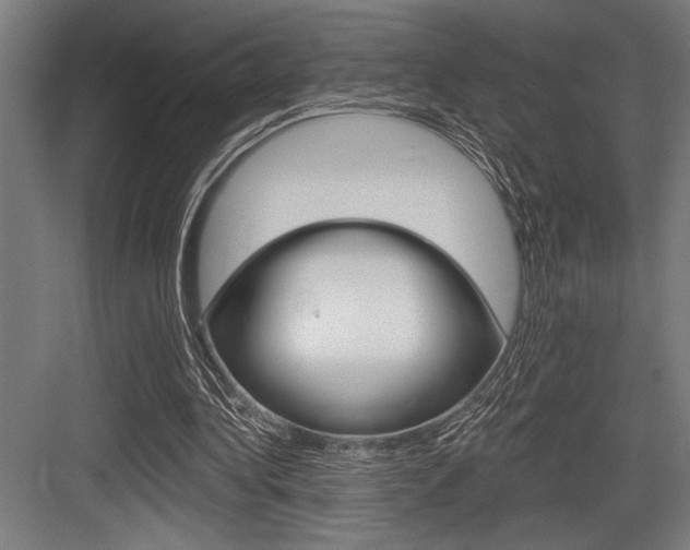 X0000083610340200702120729