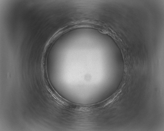 X0000083610341200702120729