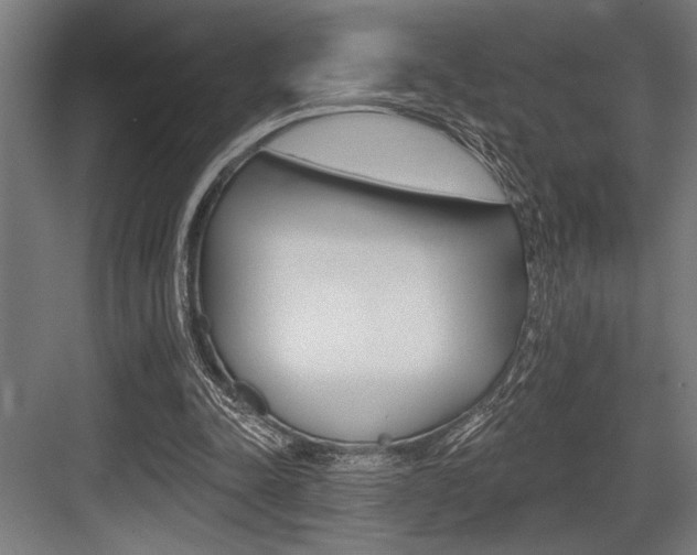 X0000083610342200702120729