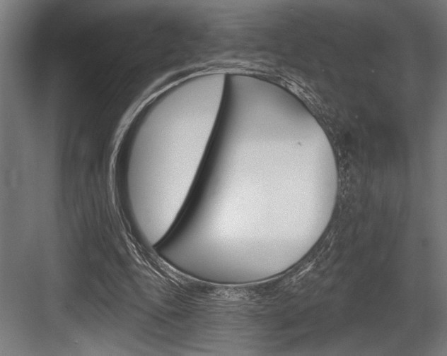 X0000083610343200702120729