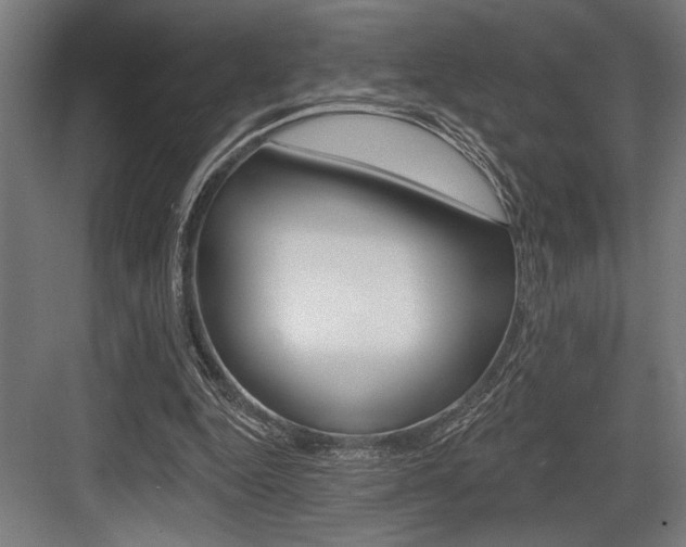 X0000083610344200702120729