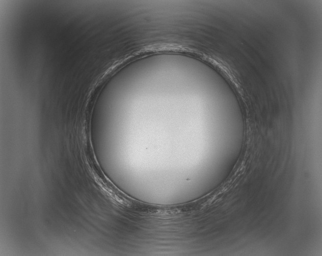 X0000083610345200702120729