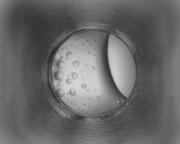 X0000083610346200702120729