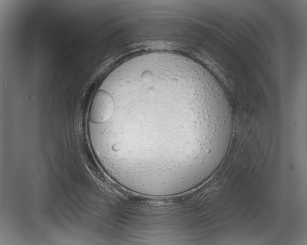 X0000083610347200702120729