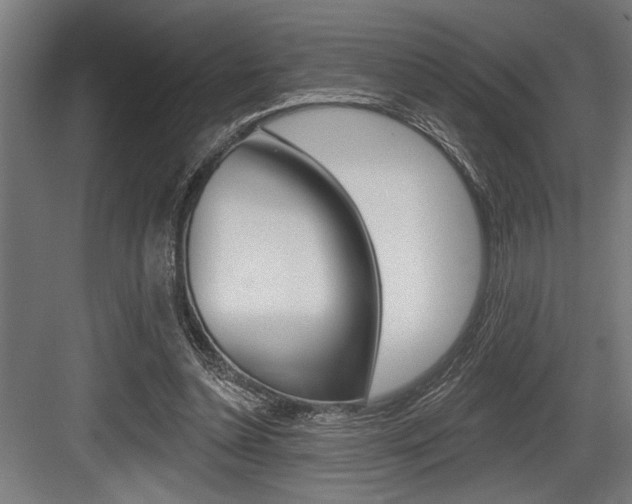 X0000083610348200702120729