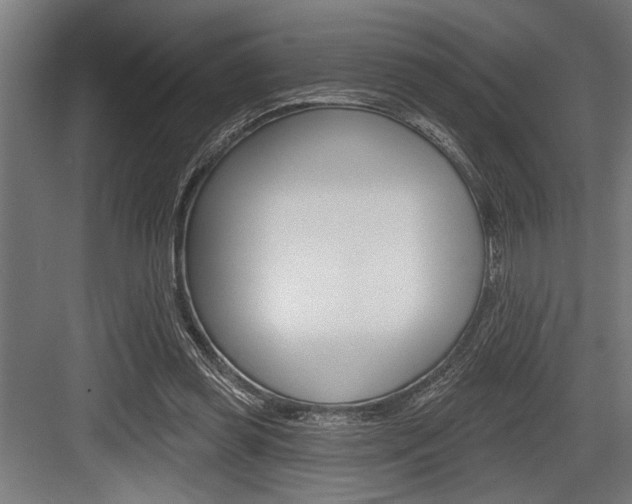 X0000083610349200702120729