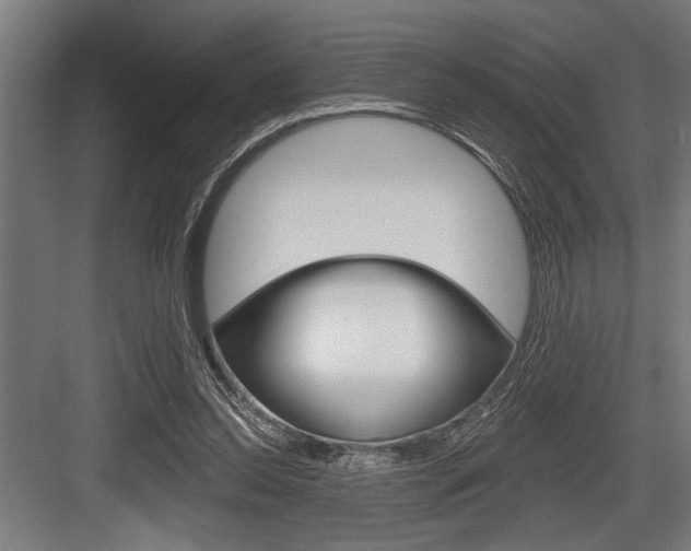 X0000083610350200702120729