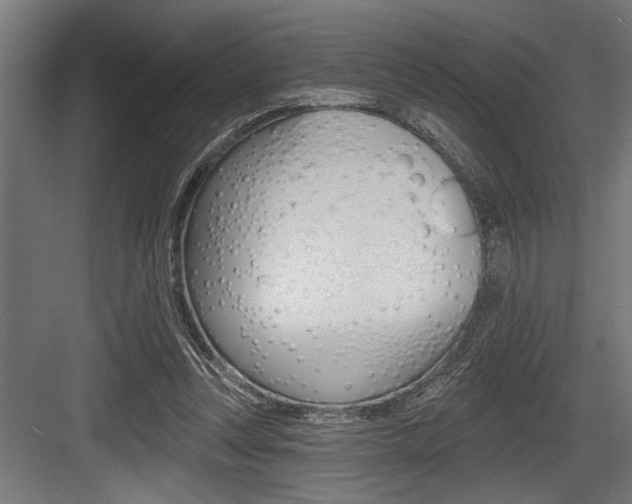 X0000083610351200702120729