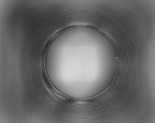 X0000083610352200702120729